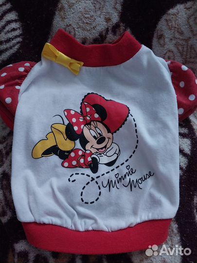 Одежда для маленьких собак s