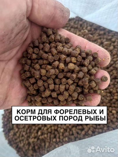 Корм для рыб