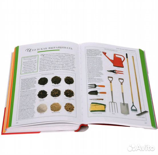 Золотые правила домоводства. 10000 полезных совето