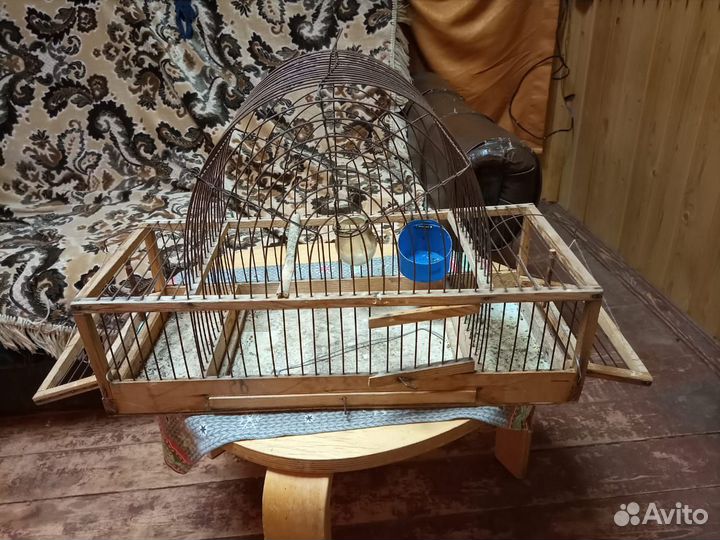 Клетка заподок