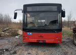 Городской автобус МАЗ 206, 2012