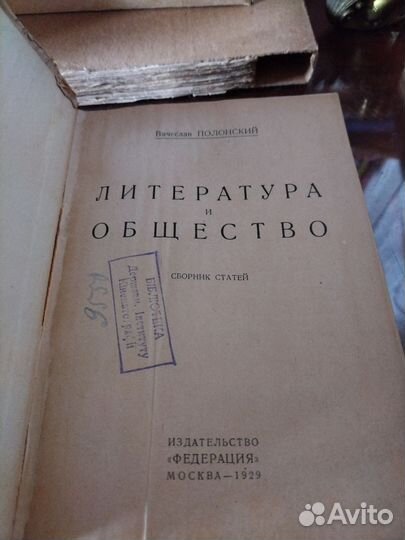 В. Полонский, Литература и общество