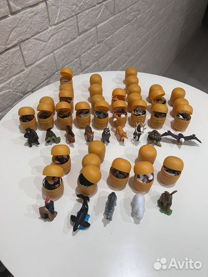 Киндер натунс 2021/2022