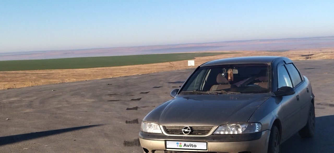 Opel Vectra: фото владельца