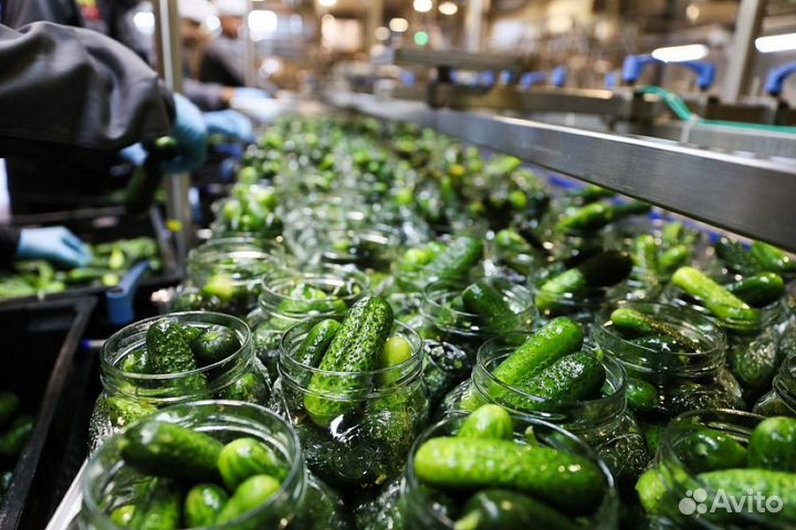 Упаковщица