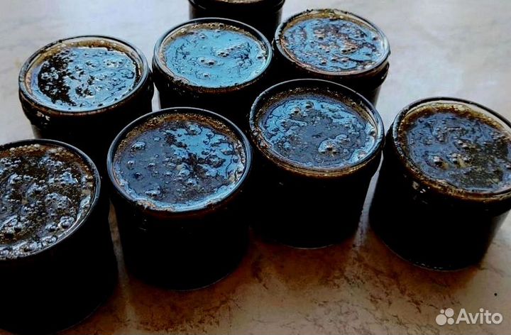 Пчелиный нектар для потенции