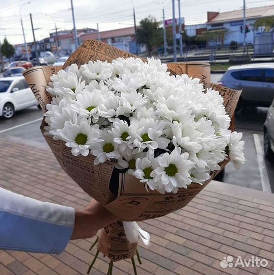Хризантема Букет хризантем Доставка