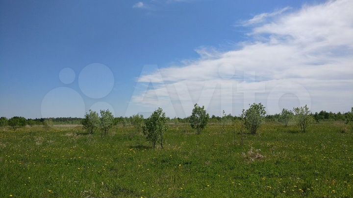 Участок 4,4 га (СНТ, ДНП)