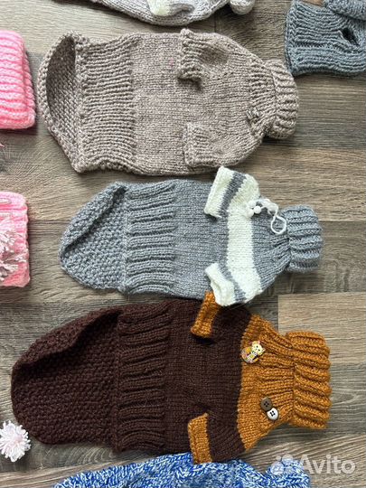 Одежда для животных