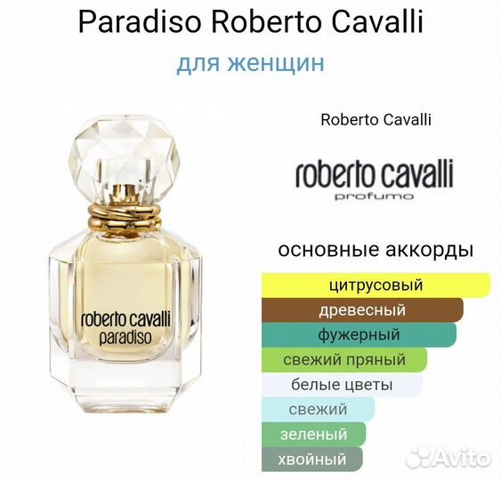 Roberto Cavalli paradiso