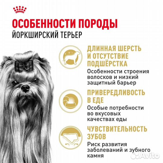 Корм Royal Canin сухой для взрослых собак породы Й