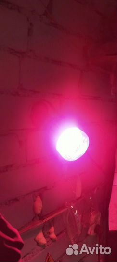 Светодиодная ультрафиолетовая лампа для растений