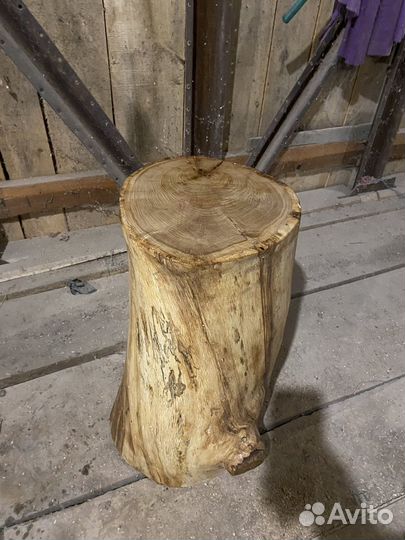 Пень интерьерный дубовый