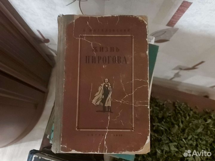 Жизнь пирогова