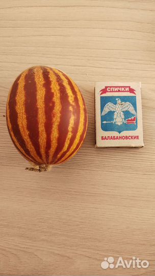 Семена вьетнамской дыни