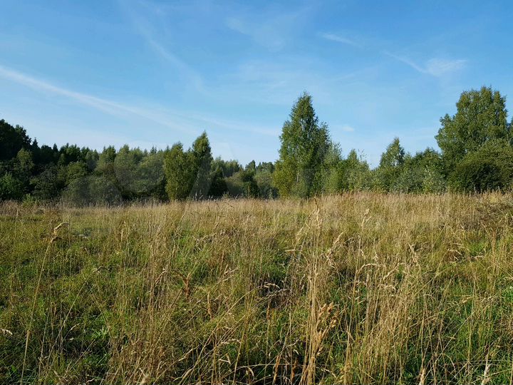 Участок 30 сот. (ИЖС)