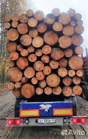 Лес кругляк строевой