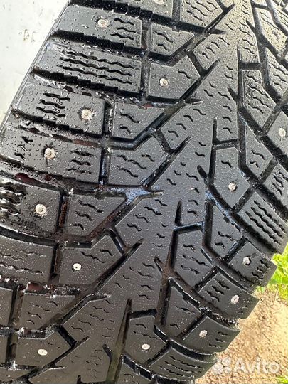 Maxxis ArcticTrekker NP3 205/65 R16 94T