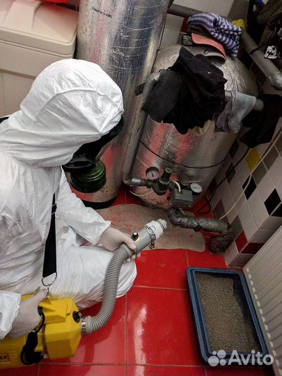 Уничтожим клопов тараканов клещей плесень запахи