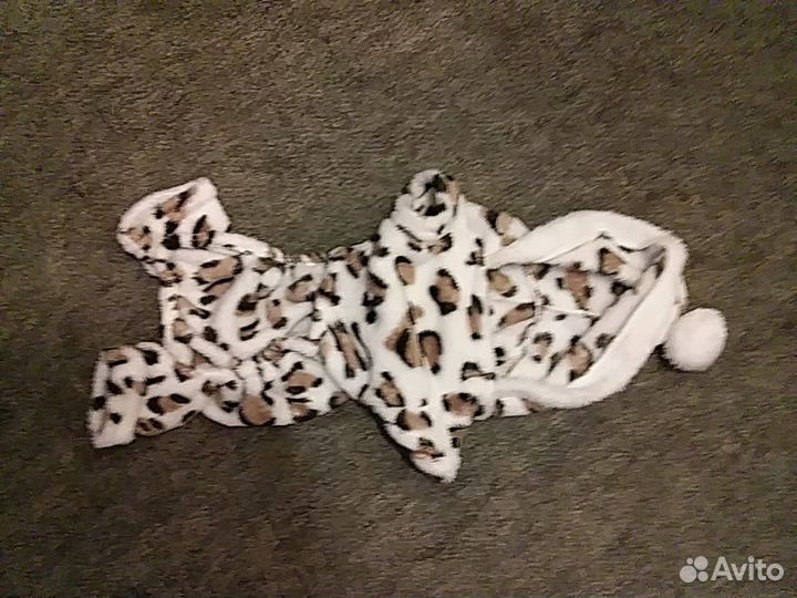 Одежда для собак