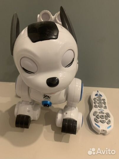 Робот собака на управлении