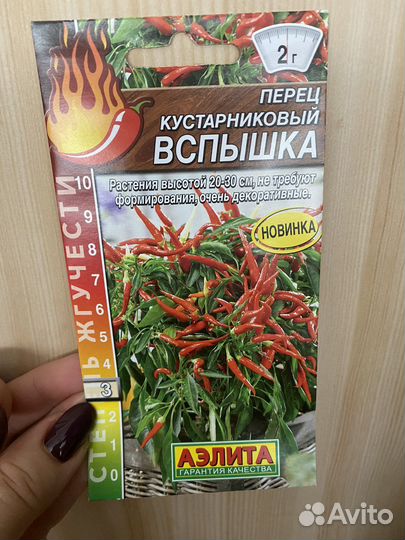 Семена острого перца