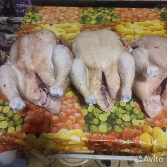 Тушка бройлера