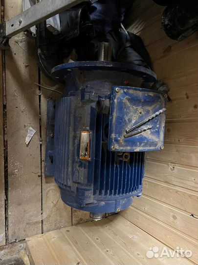 Электродвигатель аир 200М8 (18.5 кВт/750об.мин)