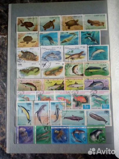 Почтовые марки