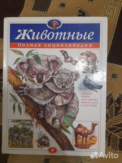 Энциклопедия 