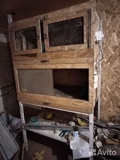 Брудер для цыплят бу