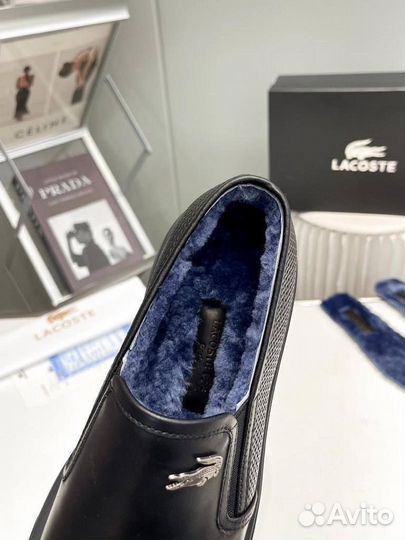 Слипоны Lacoste на меху зима Размер 39-45