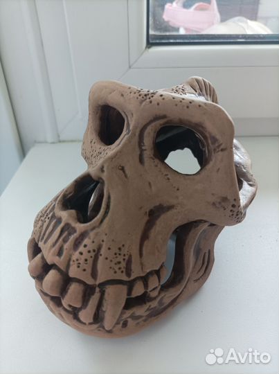 Череп для аквариума