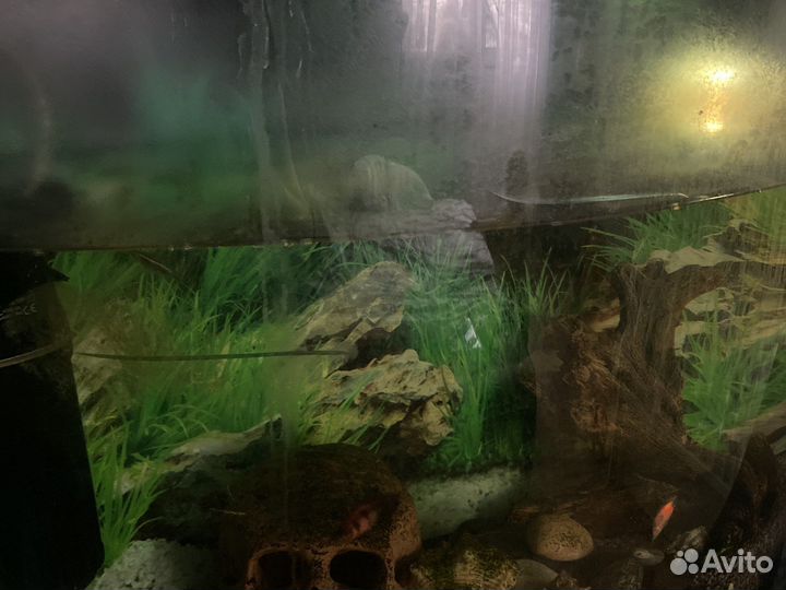 Аквариум