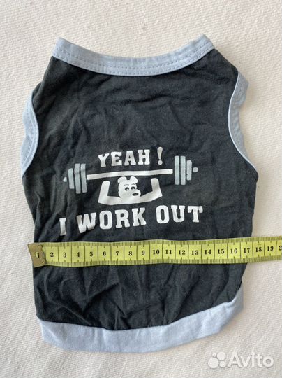 Одежда для собак мелких пород