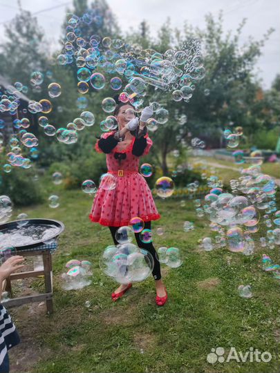 Аниматор, Ведущий