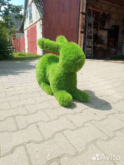 Заяц топиарий