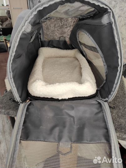 Когтеточка