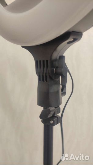 Кольцевая лампа RL-14 36 см +штатив в аренду