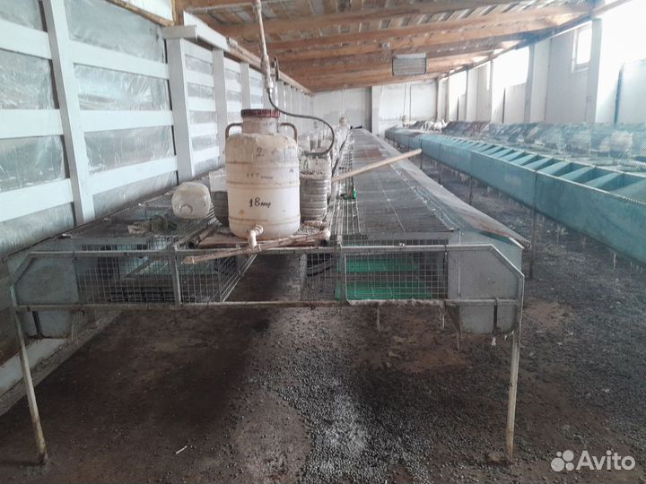 Клетка для кролика