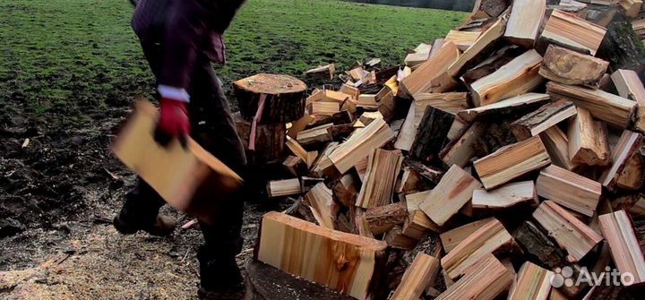 Дрова из ло