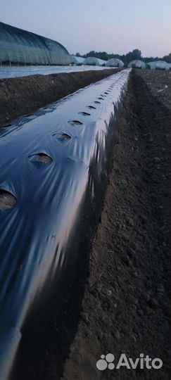 Услуги минитрактора