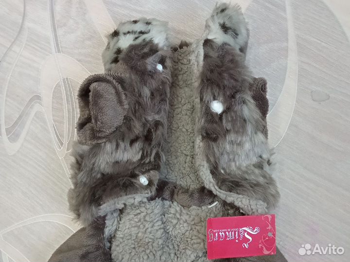Обувь и одежда для собак