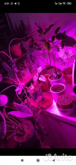 Фитолампа гибкий светильник новый