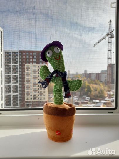 Танцующий кактус