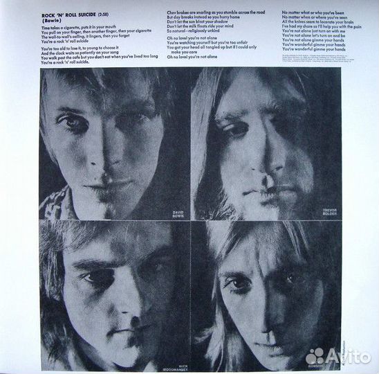 Виниловая пластинка David Bowie - The Rise And Fal