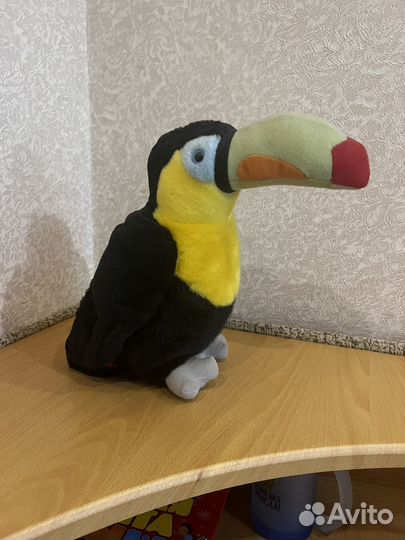 Попугай какаду