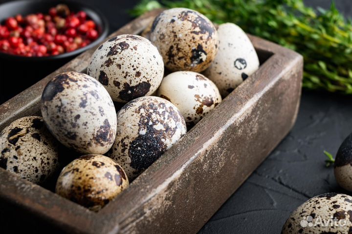 Яйца перепелиные