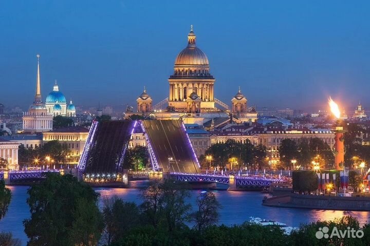 Свой человек в оренбурге, доверенное лицо