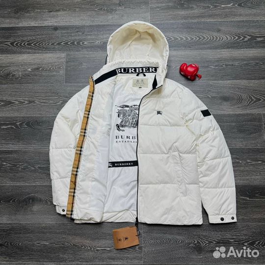 Мужская ветровка Burberry